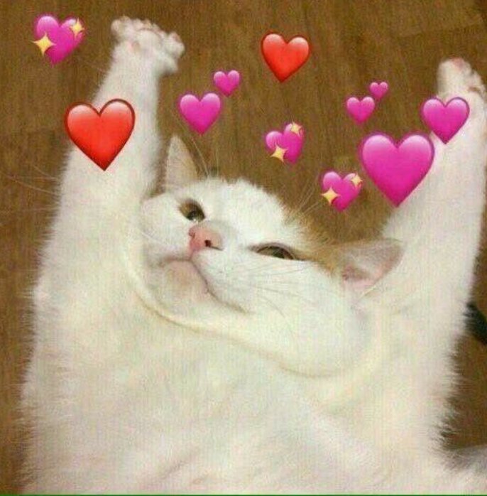 Bingsu Subing🍧🍧🍑 tweet media
