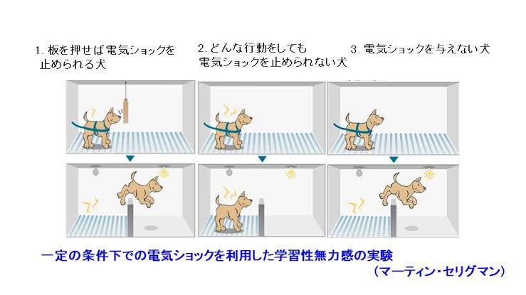 黒川 駿哉 児童精神科医 ふと思った 日本は大雨地震洪水など自然災害に慣れすぎて 国民総 学習性無力 状態なんじゃないか それで政治やお国の不正に対しても無反応なのか コントロールできないものは気にしない はストレスコーピングとしては