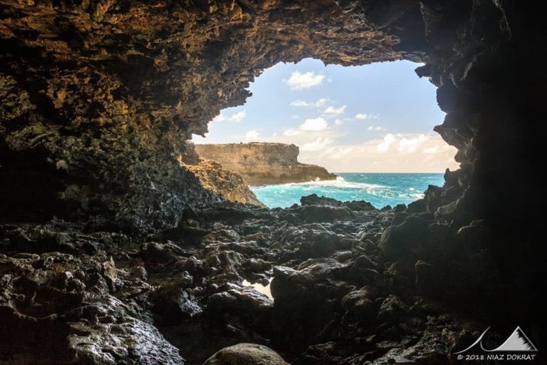 tracethetrail's tweet photo. Animal Flower Cave / North Point / Saint Lucy, Barbados

Photo Credit: Niaz Dokrat / IG: niazdokrat

Photo Coordinates: 13.3347215,-59.6131089

Getting There: https://t.co/1kLGzWuRC9

#animalflowercave #barbados #islandlife #cave #earth #earthporn #ocean #travel #adventure #hike https://t.co/CXGZ8zKfCH