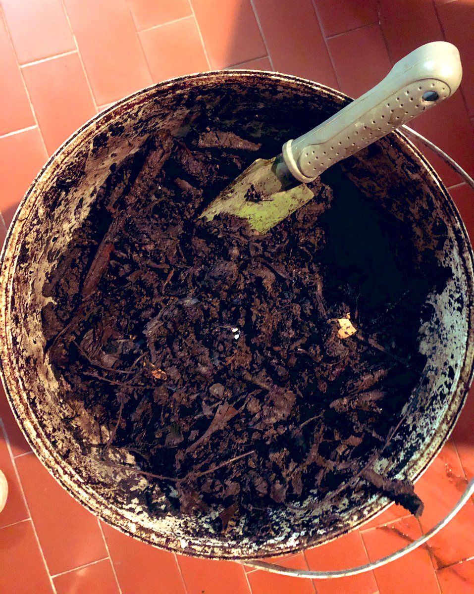 coletivo1's tweet image. Essa terra eu que fiz com a compostagem das verduras e frutas que comi nos últimos anos. #compostar
