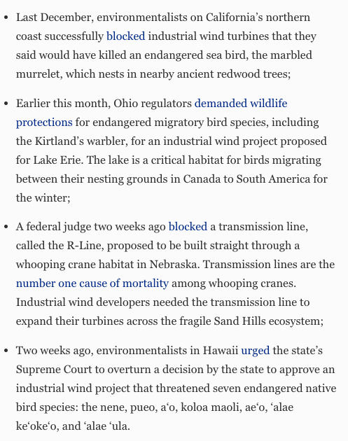 Industrial wind and transmission projects are being blocked by grassroots environmentalists — often Democrats — seeking to save endangered species.