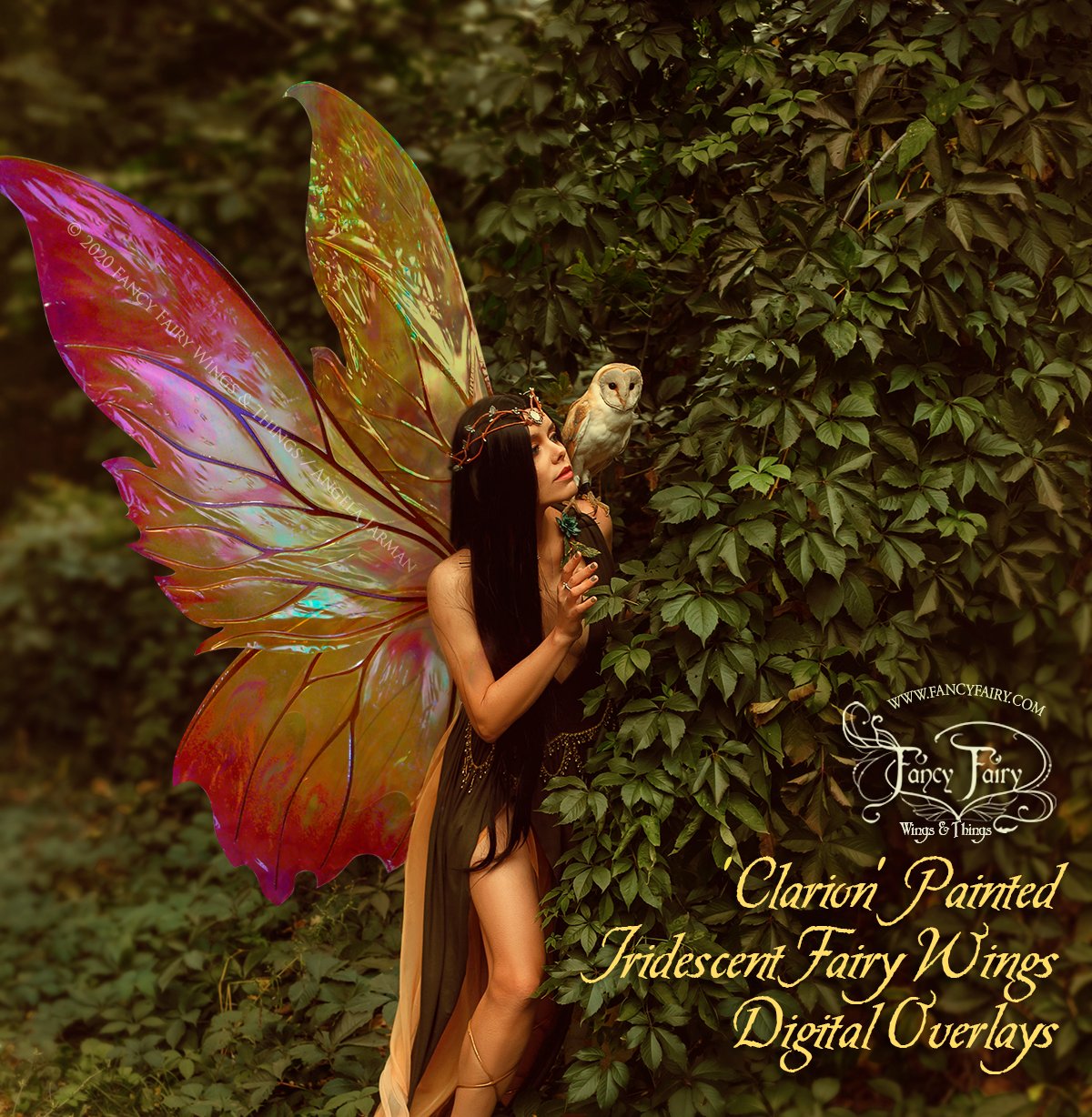 Fancy Fairy Wings on X