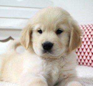 뭐야 둘이 너무 닮았따..
너무 귀엽잖아ㅠㅠㅠ