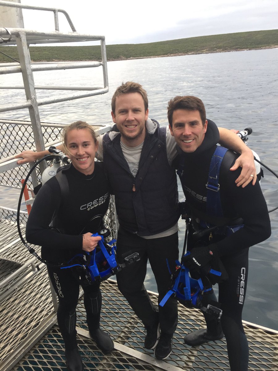 Lauren Meyer tweet media