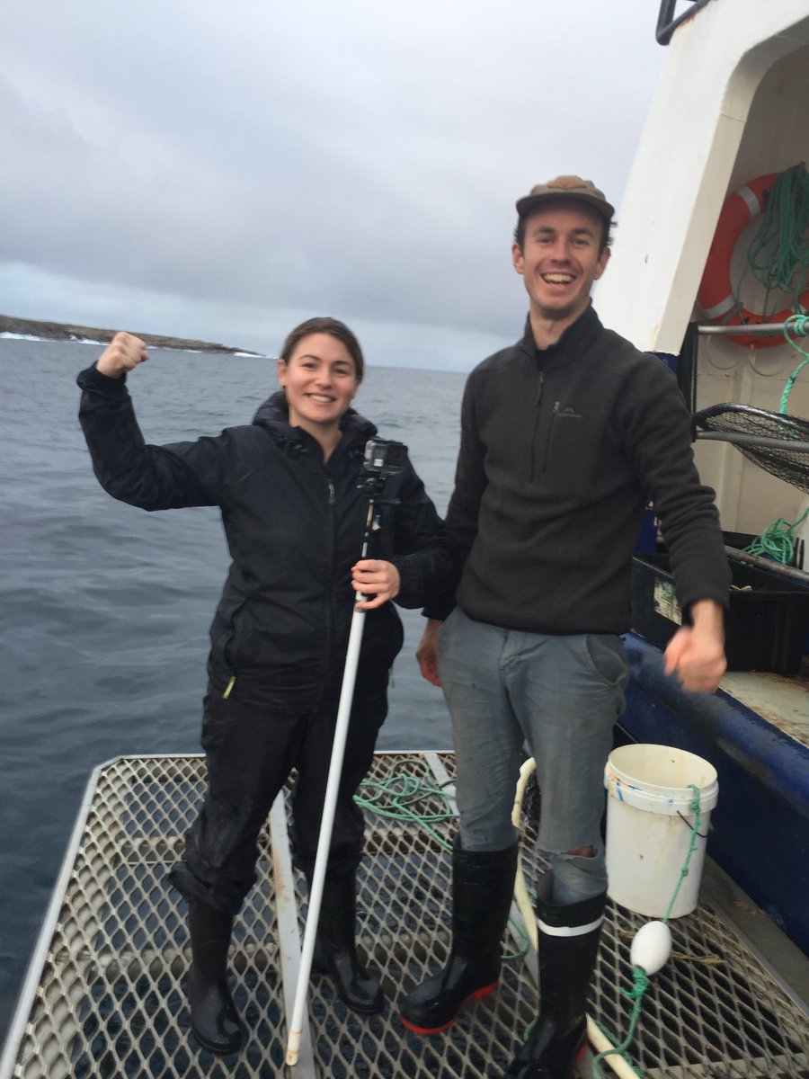 Lauren Meyer tweet media