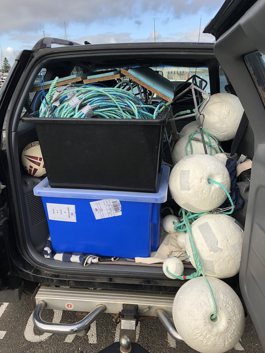 Lauren Meyer tweet media