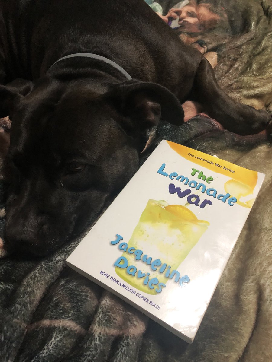 NurseViola's tweet photo. Doris loves a good book on a summer’s night. https://t.co/OvnXvaCc95