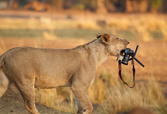 EccpdZ9WkAEuI0x?format=jpg&name=small