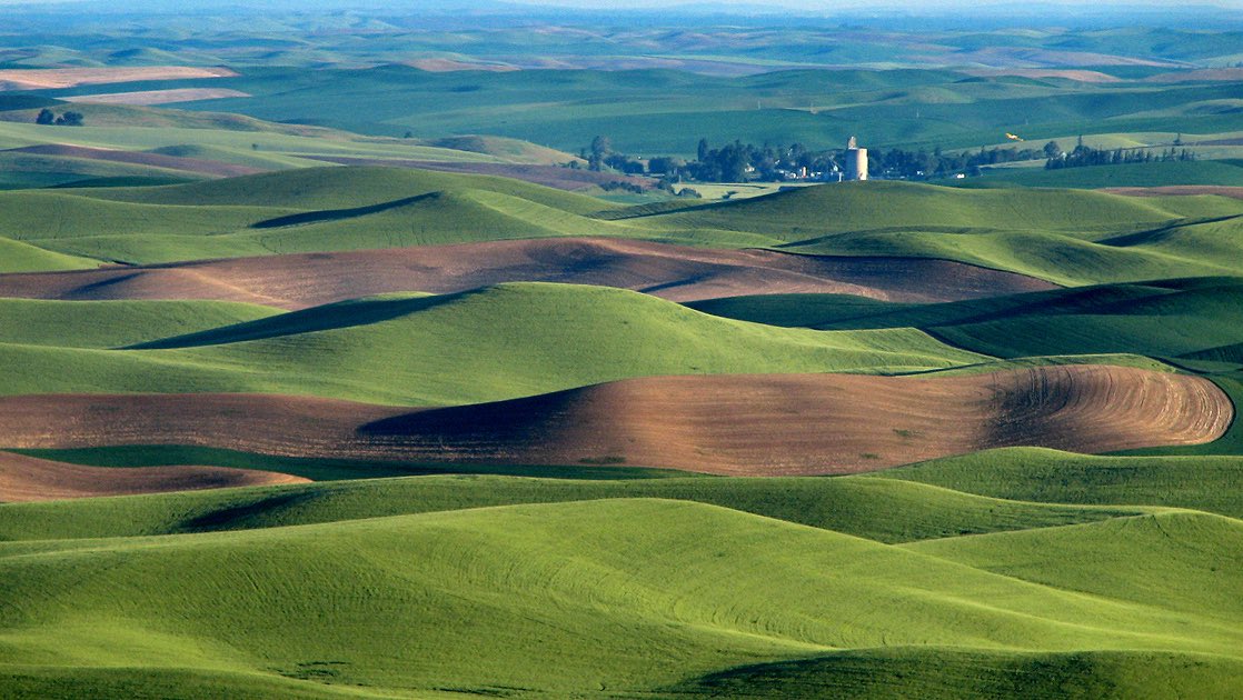 I just watched a video on YouTube of a crop duster spraying in the Palouse ....... man that was awesome! ..... and also one day I’m gonna go out there on a rd trip.... talk about some beautiful country!