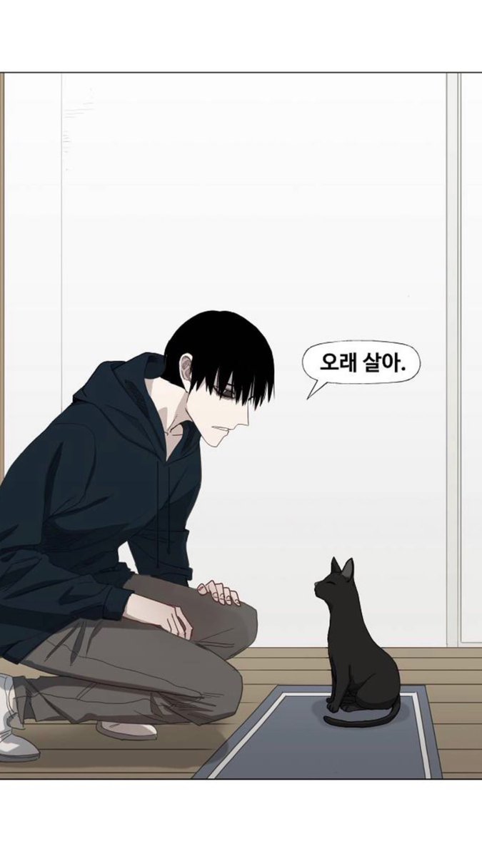 jhbm9795's tweet photo. ฮยอนบินลงสตอรี่รูปนี้ ในรูปคือผู้ชายบอกกับแมวว่า อยู่นานๆนะ(อายุยืนนะ) น่าจะอยากบอกลูน่า อารือด้วย แงงงง https://t.co/H4yaEmpOj9