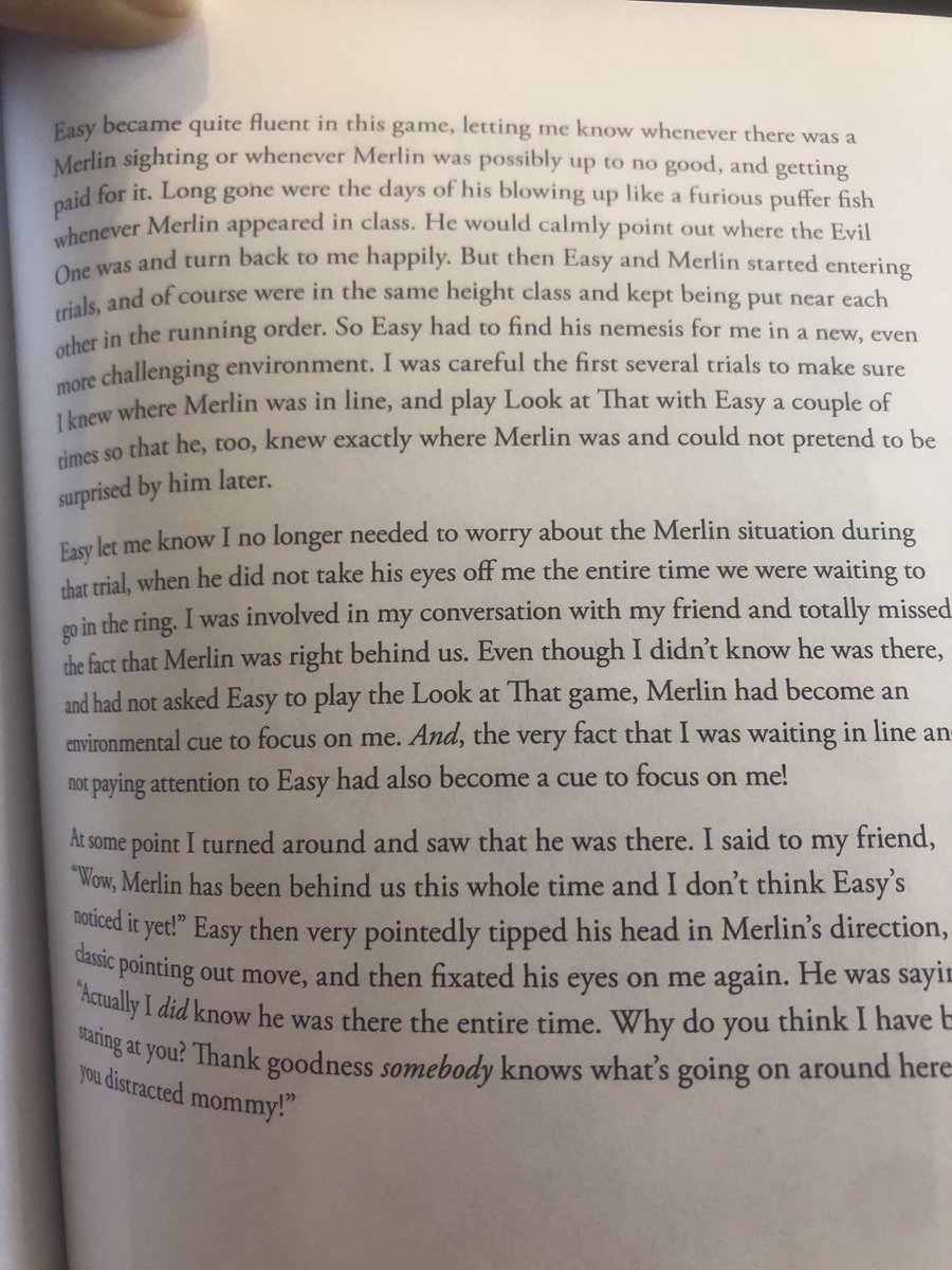 I am charmed by this story of one-sided dog rivalry.“Easy bore a grudge because of a tiff that had occurred in my backyard [...] Merlin forgot about the incident about 30s after it happened, but Easy was absolutely outraged every time he saw Merlin [...] for several years.”