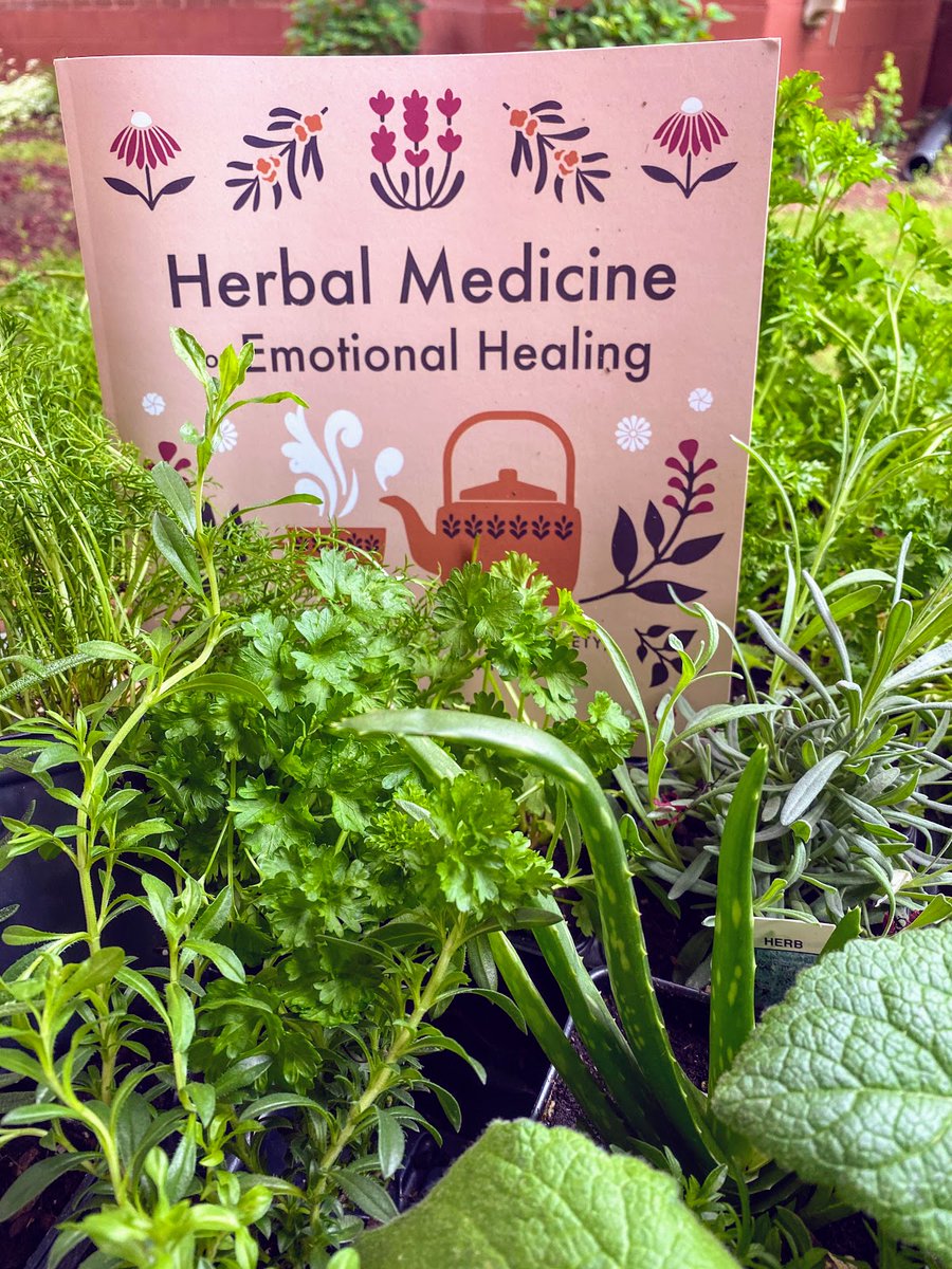 EssentialHerb's tweet photo. Thanks to #therosemaryhouse for the review! https://t.co/YWPOFL7sOk https://t.co/0zWWrx3dJI