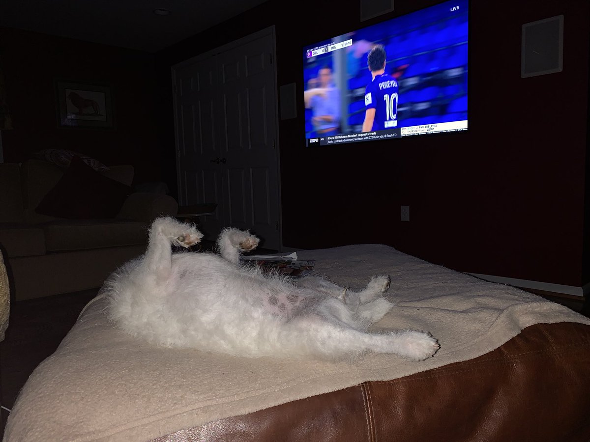 csarne's tweet image. Not all are thrilled about the return of @MLS.  We’ll wait for the @PhilaUnion in the morning.