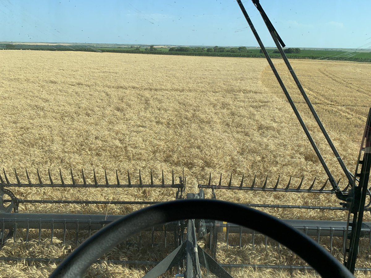 peitzensen's tweet photo. First day of harvest help: @APPeitz and I didn’t get fired by the boss (@tc61960). #harvest2020 #notquittingourdayjobs https://t.co/64Im8KYSWJ