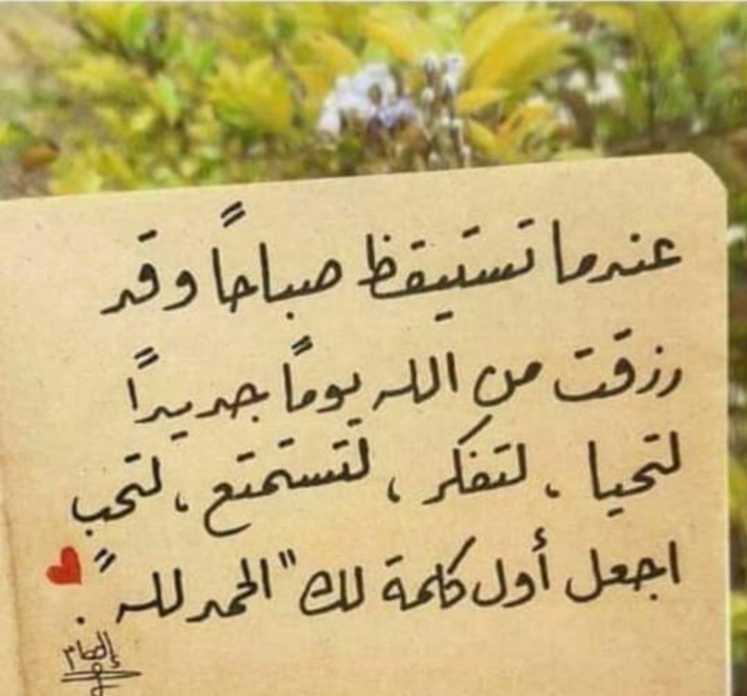 Fatma85uae tweet media