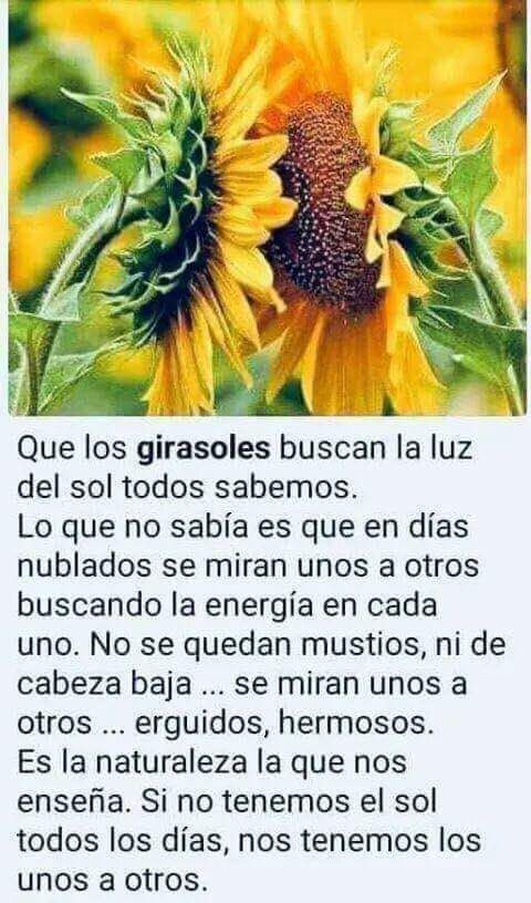 Karen Rodriguez tweet media