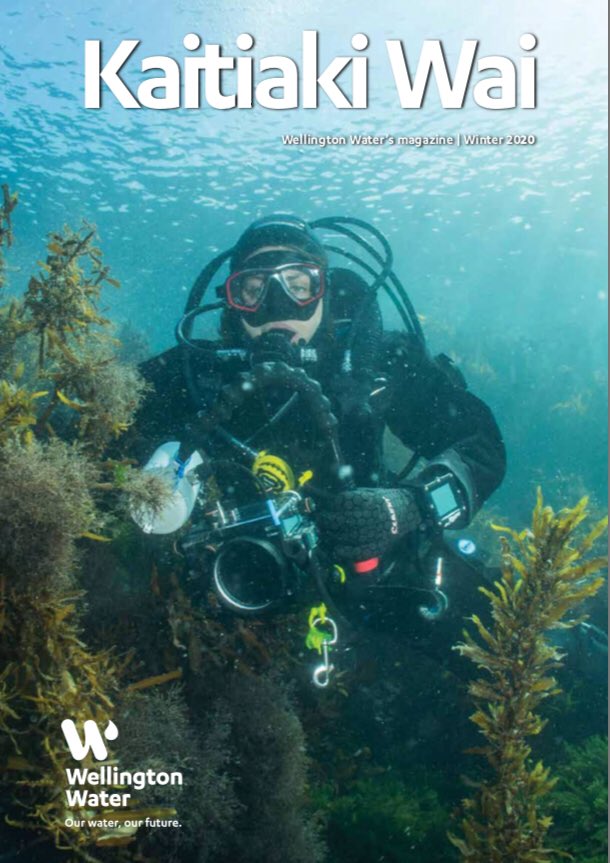 #VR tour of #TaputerangaMarineReserve featured in the latest <a href="/WgtnWaterNZ/">Wellington Water</a> newsletter! Join us <a href="/Te_Papa/">Te Papa</a> tomorrow 1-4pm for a free school holiday adventure and virtual dives. wellingtonwater.co.nz/dmsdocument/536