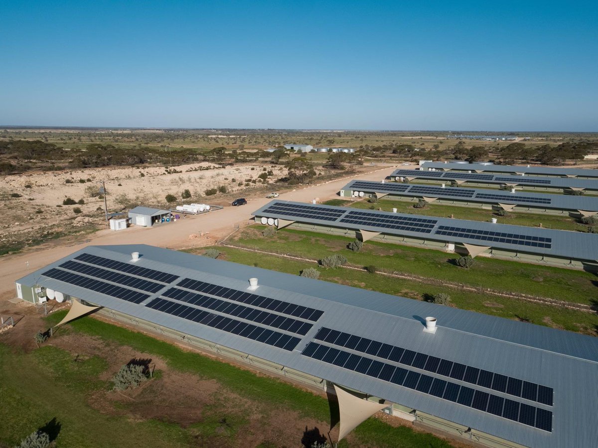 AAM’s Riverlands Free Range is the new home for a 2.28MWh #Tesla lithium-ion battery system. This is part of extensive #sustainability &amp; #renewable energy projects across Southern Cross Poultry Fund assets. 

Read more :bit.ly/3ecgcIC

#investments #australianagriculture