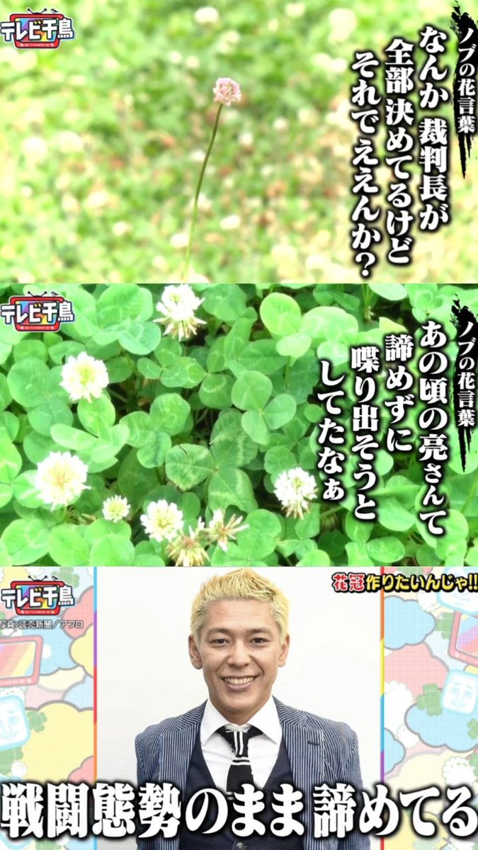 テレビ千鳥 まとめ Ar Twitter テレビ千鳥 0707 花冠を作りたいんじゃ まとめ T Co V7dgmisoco Twitter