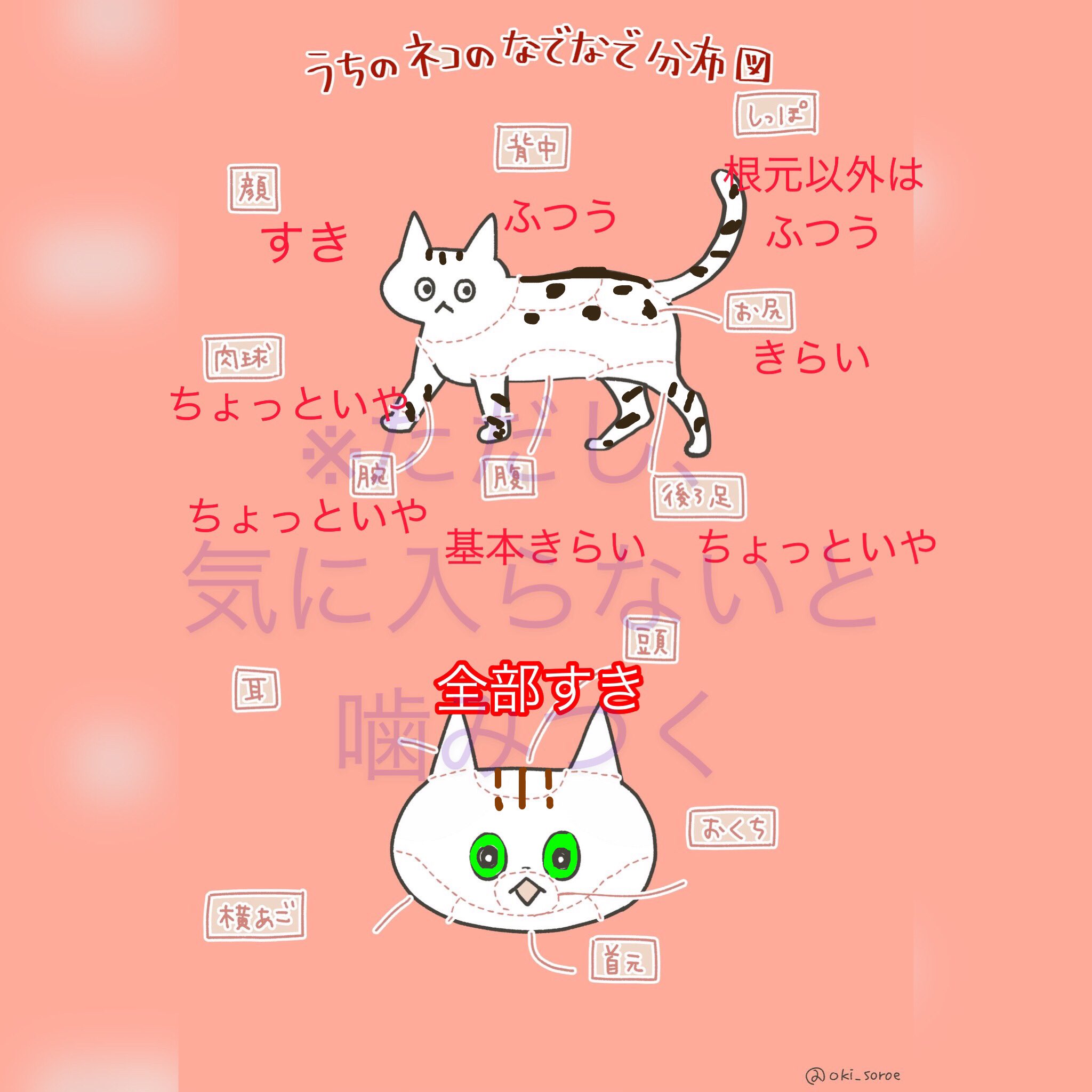 うちのネコのなでなで分布図 Twitter