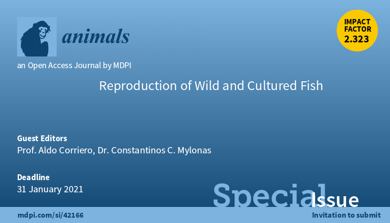 Animals_MDPI's tweet photo. #fish #aquaculture #fishreproduction Special Issue "Reproduction of Wild and Cultured Fish", edited by Prof. Aldo Corriero and Dr. Constantinos C. Mylonas. One paper has been published. Welcome to read and submit your paper! (Deadline: 31 January 2021) https://t.co/BqjZuQgNjb https://t.co/JzKHcBlCbj