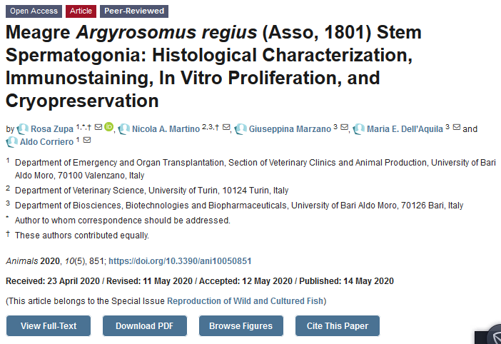 Animals_MDPI's tweet photo. #fish #aquaculture #fishreproduction Special Issue "Reproduction of Wild and Cultured Fish", edited by Prof. Aldo Corriero and Dr. Constantinos C. Mylonas. One paper has been published. Welcome to read and submit your paper! (Deadline: 31 January 2021) https://t.co/BqjZuQgNjb https://t.co/JzKHcBlCbj