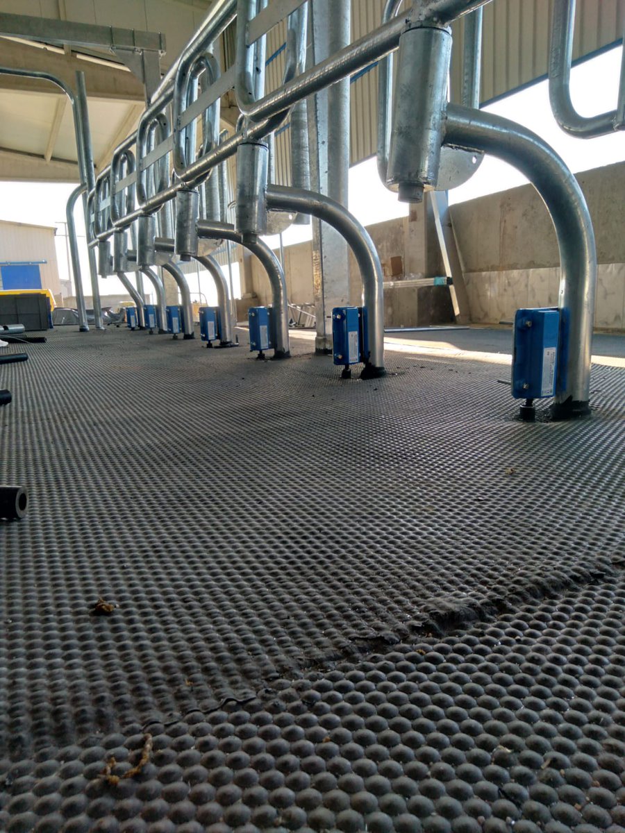 IAsyafarm's tweet photo. Afimilk Kalitesi & İntermilk Uzmanlığıyla Sürü Takip ve Yönetim Sistemi ile hem siz çiftçilerimiz mutlu hemde ineklerimiz 👨🌾🐄👩🌾🐮
Faruk Alkan Igor Tsvet
#intermilk #asyafarm #milking #farming #agro #machinery #export #happycows #dairyherd #manuremanagement #cows #dairyfarm #milk https://t.co/0FDBMh4IFK