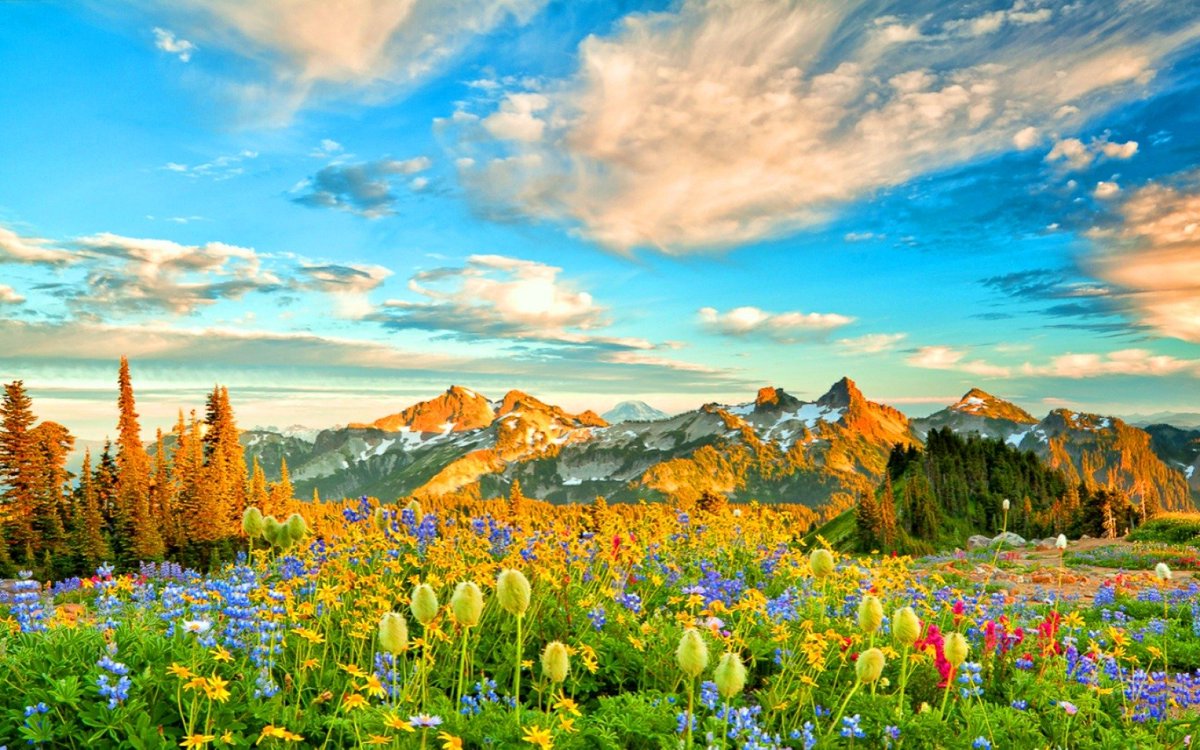 giannis2221963's tweet photo. Good morning a very nice day for all https://t.co/b879yPu6l9