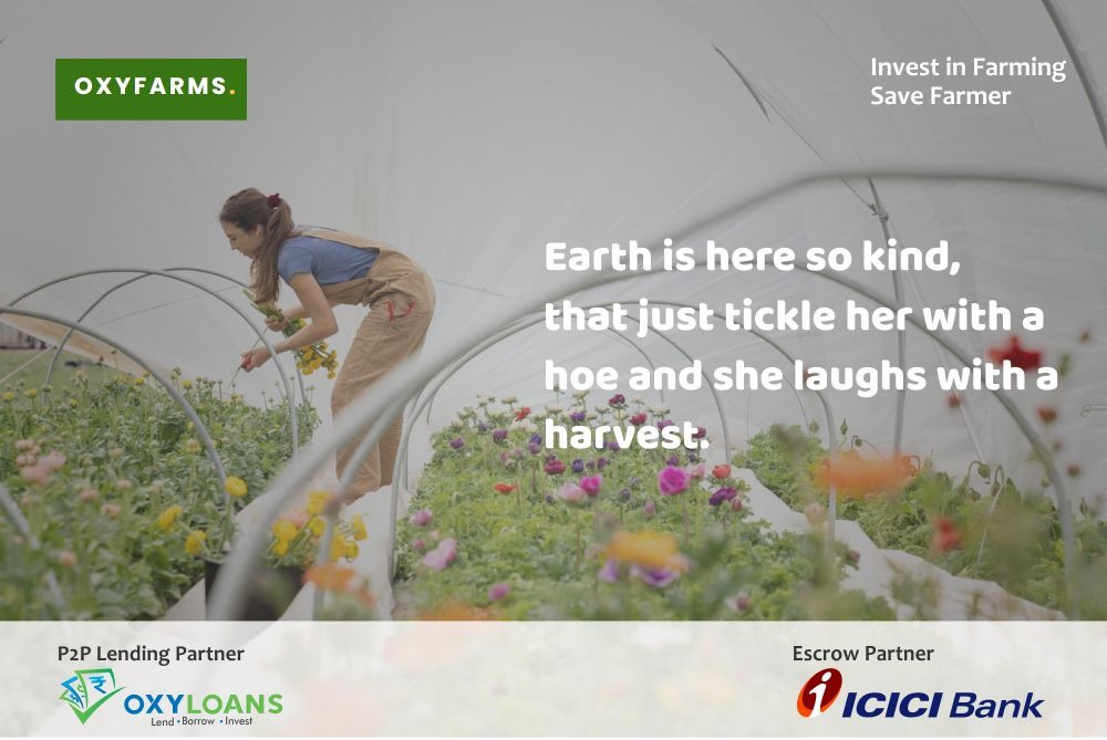 oxyfarms's tweet photo. Earth is here so kind, that just tickle her with a hoe and she laughs with a harvest.
For more Information Visit: https://t.co/Fvsl44wxf5
#OXYFARMS #OXYLOANS #ICICIBank #agriculture #CivilizedLife #business #partnerships #inspiration #technology #marketing #culture #management https://t.co/rhb2yORm9q