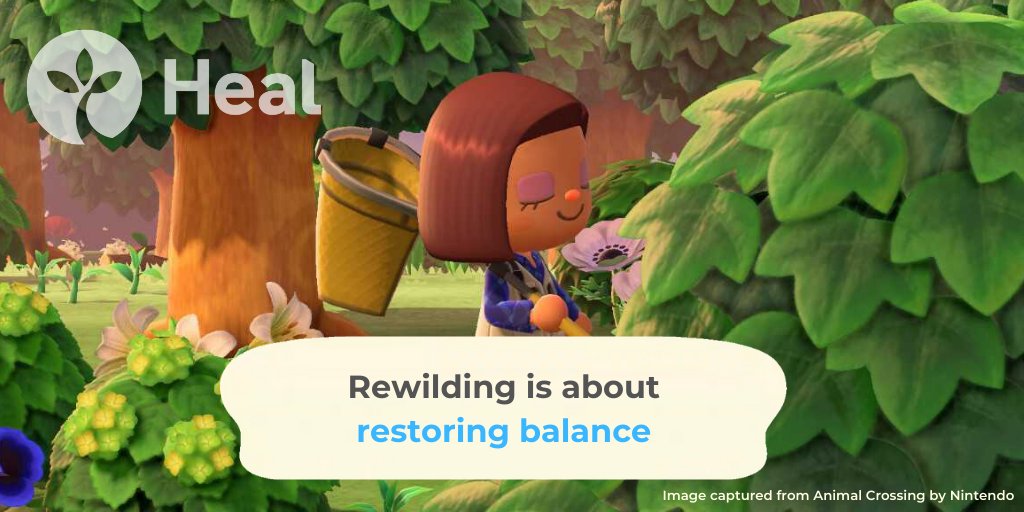 HealRewilding tweet picture