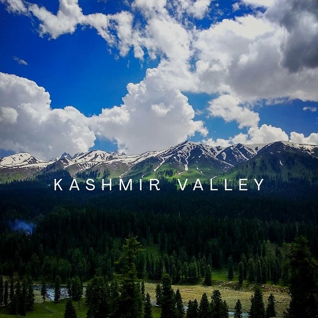 ImmersiveIndia's tweet photo. #kashmirvalley #kashmiri #heaven #lovekashmir #india https://t.co/q33F36tUwG