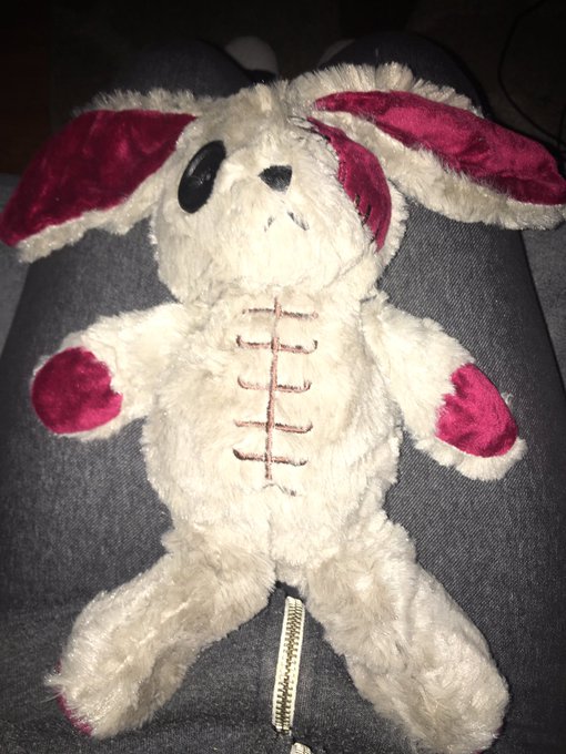 I Fucken love my new bunny https://t.co/3q8PnJCrU8
