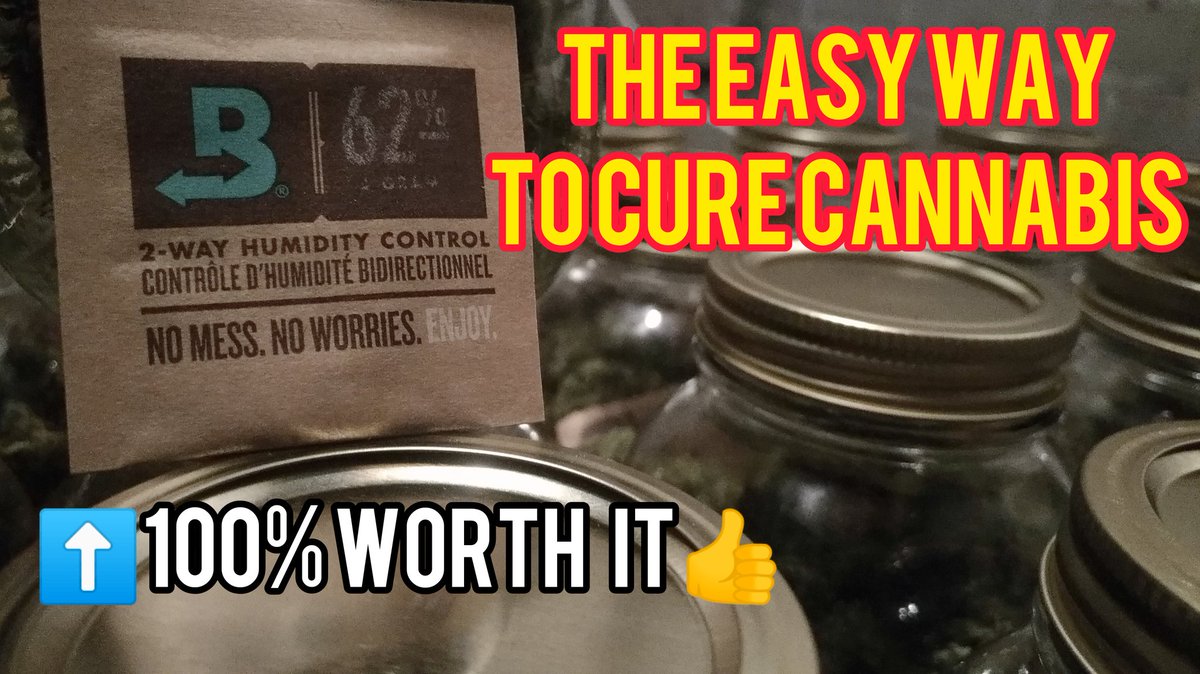 Curing Video is Up! ⬇️
youtu.be/NZ1V5yEWOKI