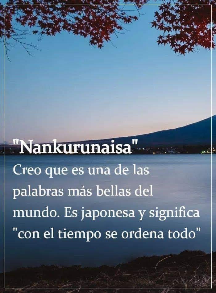 Monica Barrilli tweet media