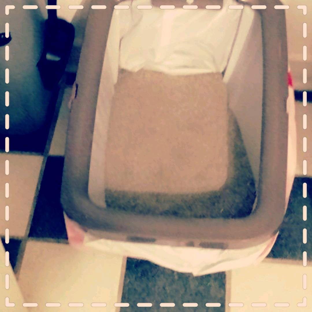cebayne's tweet photo. @catspride @Influenster #1jonnycatliner #complimentary https://t.co/97gV73dGMi