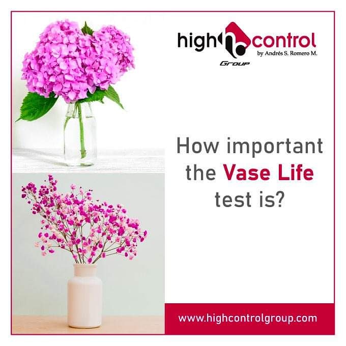 highcontrol's tweet image. #HighControlGroup offers #VaseLife test - especially important, if you discovered a new #RoseVariety or #FlowerFarm and want to get sure of its #Quality and its #Flower's behavior. Get sure it will last in vase long enough.
Contact us for more details
highcontrolgroup.com/contact-1/