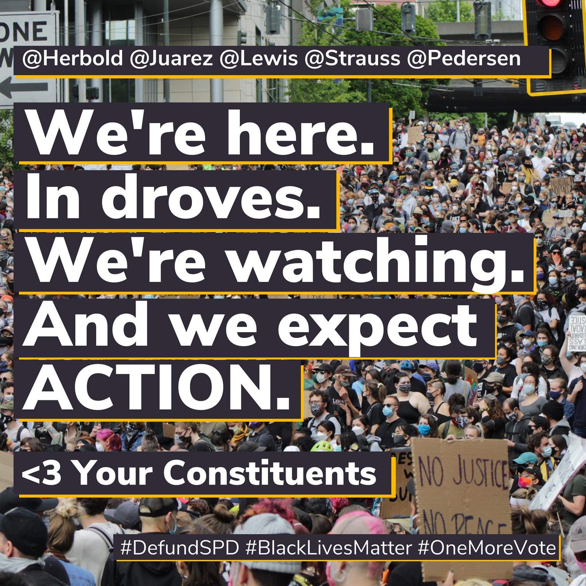 TheSeaWolfHowls's tweet photo. I attended the Seattle City Council meeting today and write all the councilmembers to say #DefundSPD #BlackLivesMatter Seattle is watching and we expect action @Lisa_Herbold @ElectPedersen @CMDanStrauss @D5Juarez @CMAndrewJLewis https://t.co/lKHTlTIKls