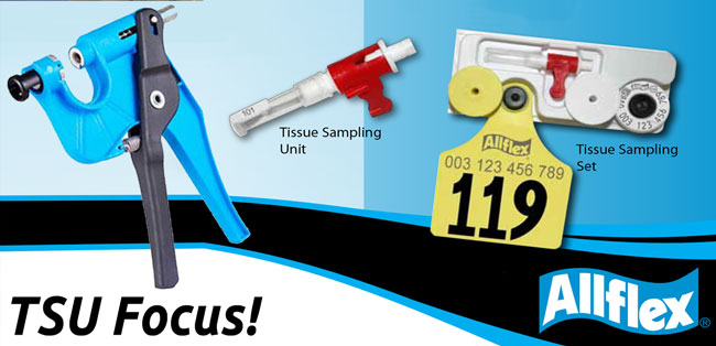 4tagsAU's tweet photo. TSU DNA Sampling, New Sheeptags &amp; FREE NLIS tags....? https://t.co/dbZZPBFuCq https://t.co/ai33cNz164