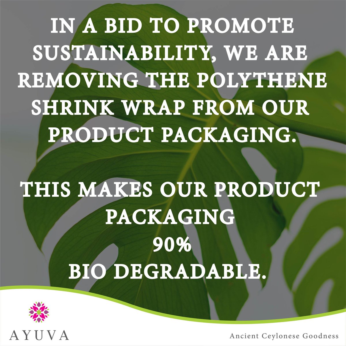 ayuvawellness's tweet photo. At AYUVA, we are focused on sustainability as a governing principle inside the company.
.
.
#Eco_Friendly #Bio_Degradable #Sustainability #AYUVA #AYUVA_Medicals #AYUVA_Products #Ancient_Ceylonese_Goodness #Ayurveda #Traditional_Medicine #Indigenous_Medicine #Traditional_Remedies https://t.co/S92zTu8E5h