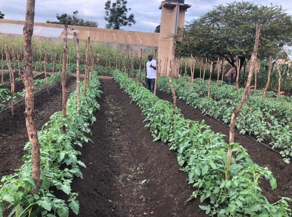 shambaniconsult's tweet photo. Dear future agripreneurs,
Here’s how you can avoid startup failure: -Create a unique brand proposition to your product.
-Invest in the right team.
-Enhance leadership skills
-Test the product viability before launch. 
Welcome to the 10% league of accomplishers 
#ShambaniChats https://t.co/qPvrfwMCRf