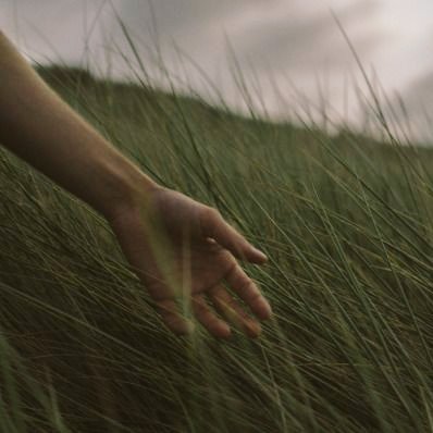 "Sucumbing to the charms of blades of grass we now caress with finger tips and palms"