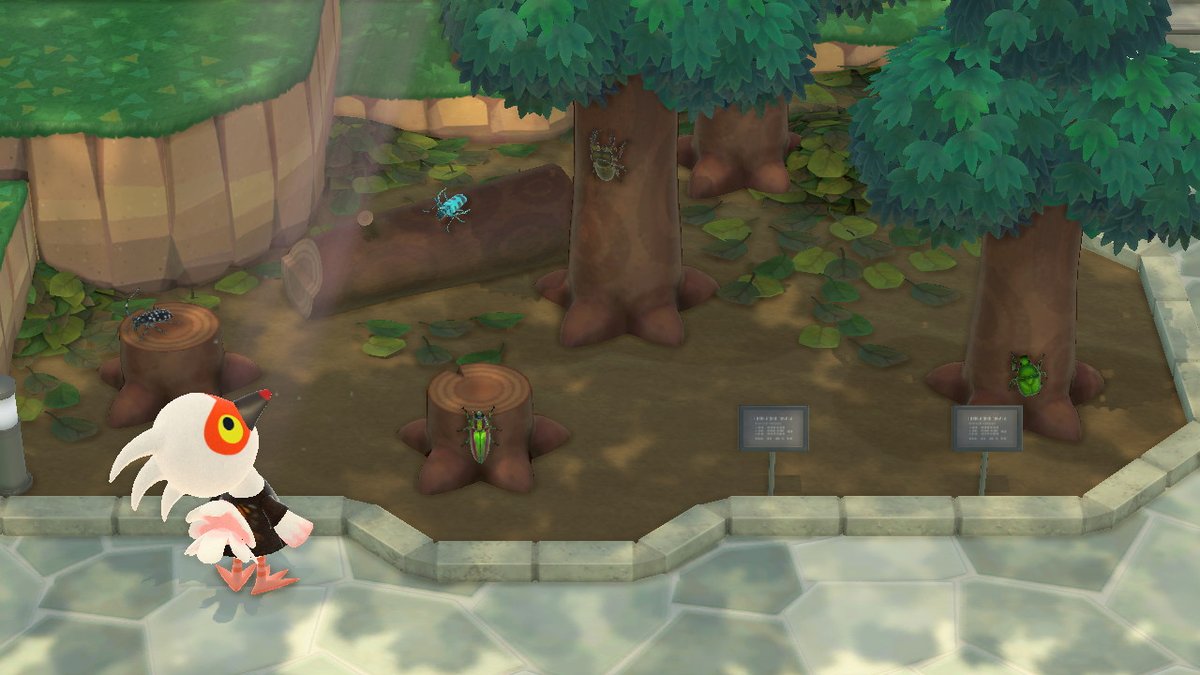 achlohen's tweet photo. my favourite villager, cranston, in the bugs museum <3 #AnimalCrossing #ACNH https://t.co/NsiLwd3p4I