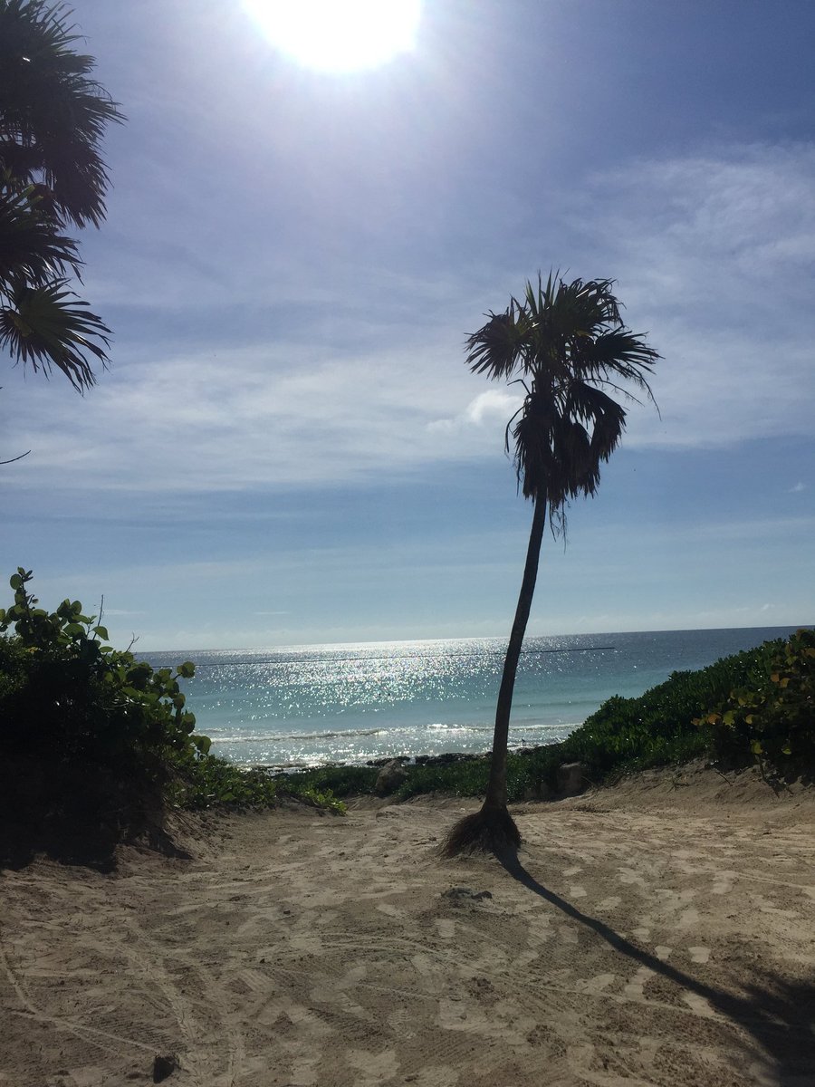 yazcharbeleon's tweet photo. #Beachlife https://t.co/oEMDCPCz1N