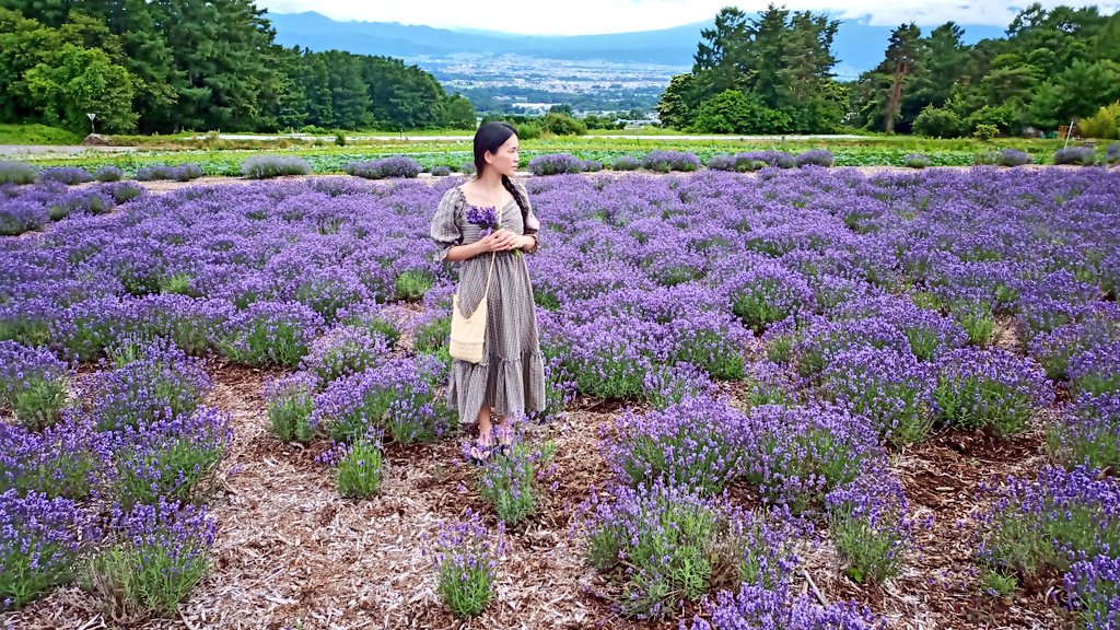 夢ハーベスト農場