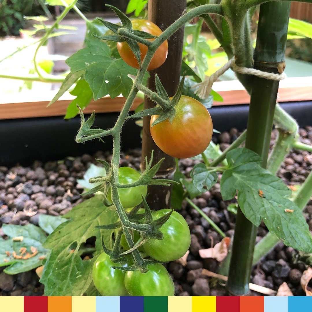 The Data Factory tweet media