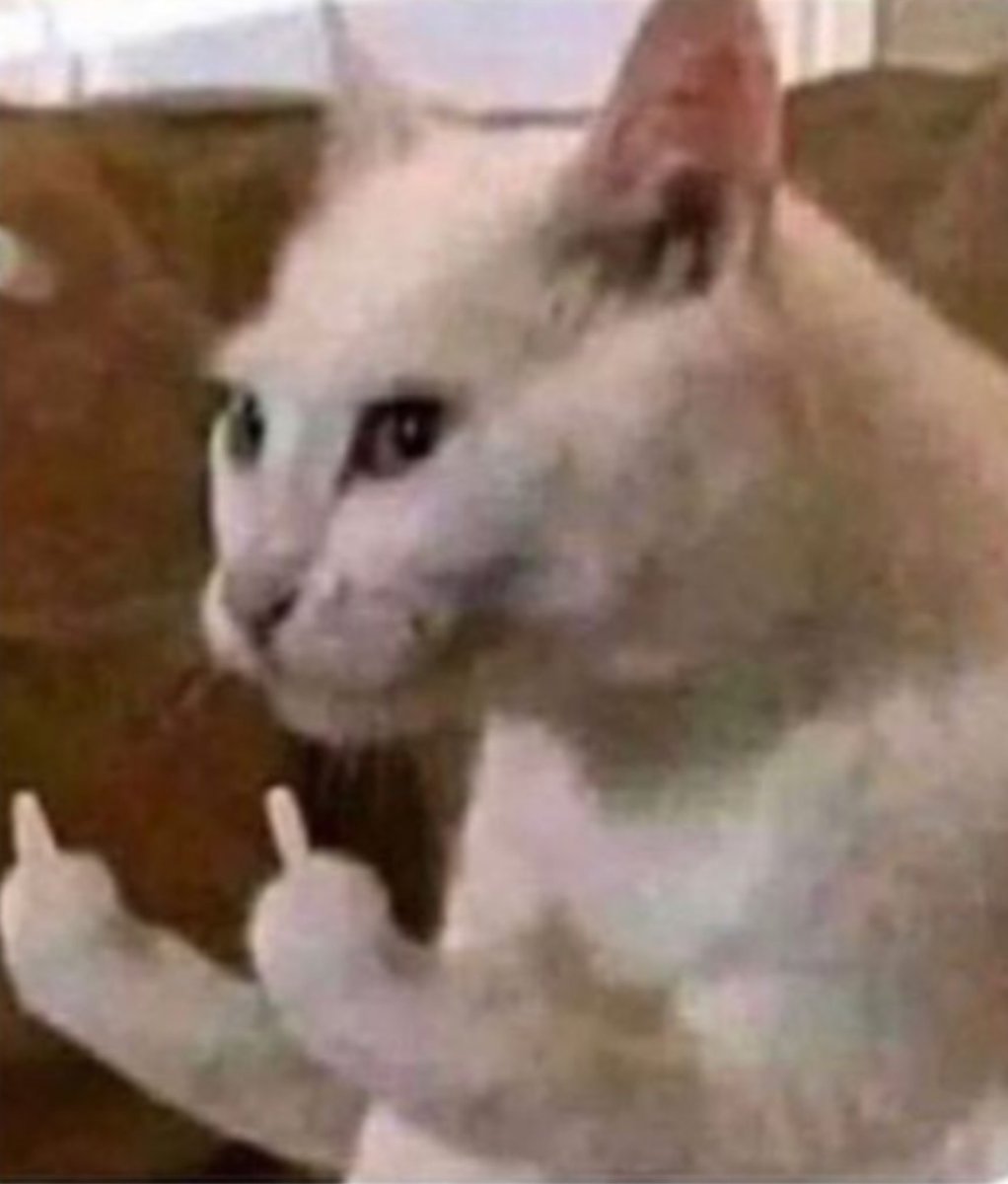 TheRegularMexican tweet media