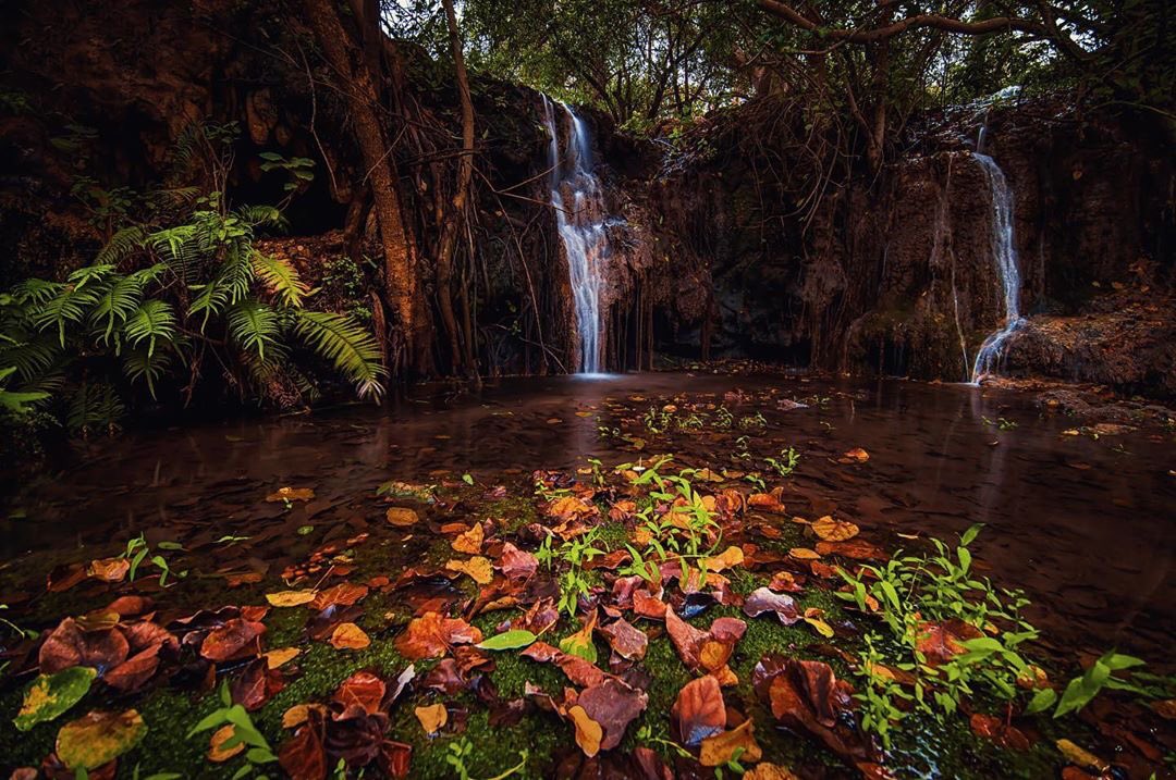 OmanMirror's tweet photo. mirrors from #Oman 🇴🇲

📸 @Anasaldheeb https://t.co/H1JKalpwRy