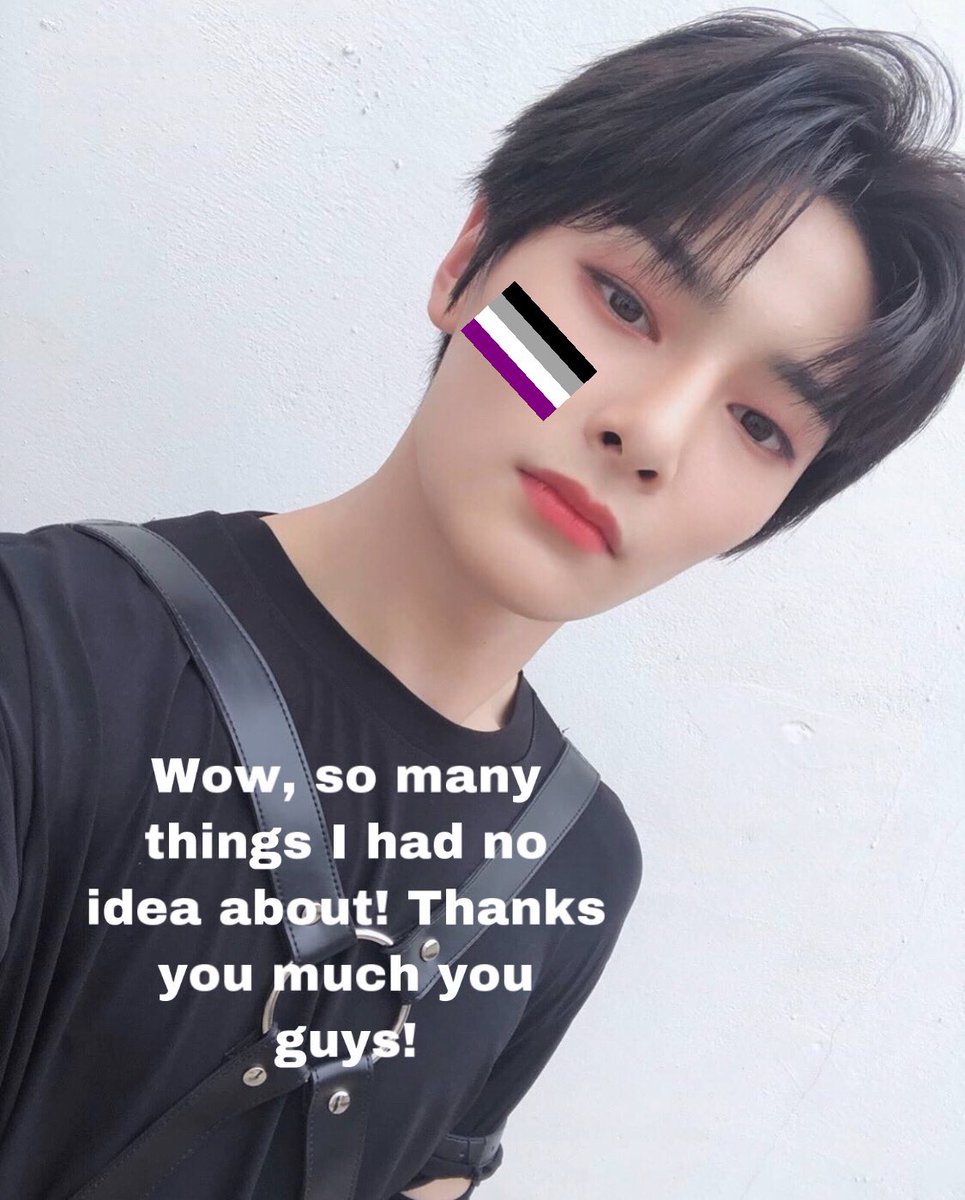 Stray Kids explain bisexuality: an important and very necessary thread !!