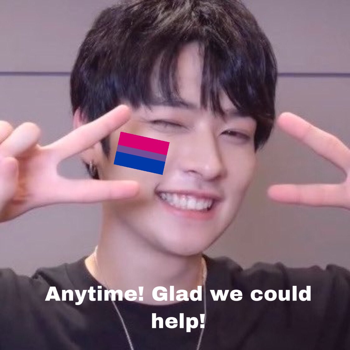 Stray Kids explain bisexuality: an important and very necessary thread !!