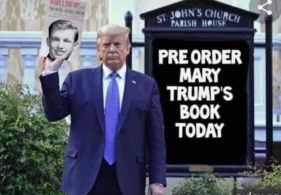Graces_Page's tweet image. #StableGenuis #MaryTrump #MaryTrumpsBook 
#TooMuchAndNeverEnough